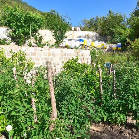 Verbalj Apartment With Swimming Pool Κότορ Εξωτερικό φωτογραφία