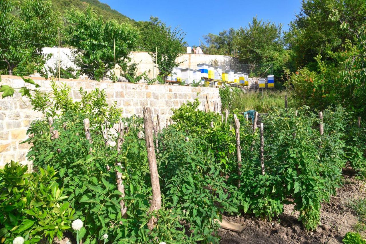 Verbalj Apartment With Swimming Pool Κότορ Εξωτερικό φωτογραφία